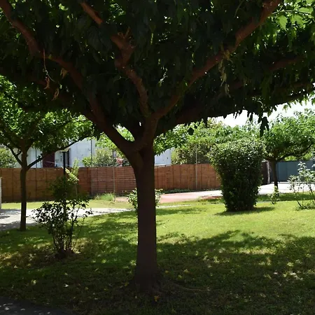 Kontos 카메나불라